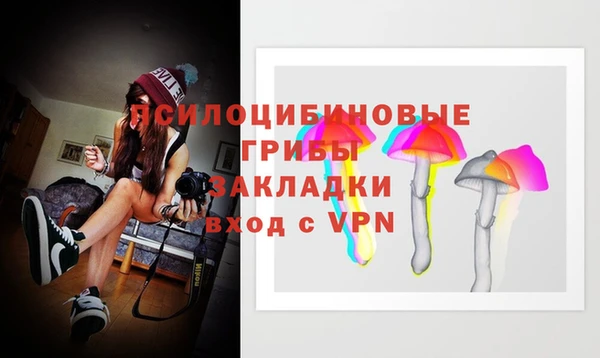 МДПВ Горняк