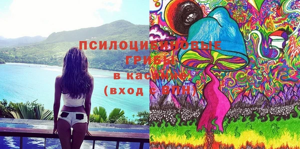 молекула духа Горно-Алтайск