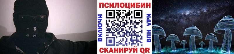 закладка  Дно  Псилоцибиновые грибы Magic Shrooms 